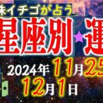 ★忖度なし★2024年11月25日〜12月1日の星座別の運勢★運気を上げるアドバイスつき★