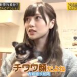 【乃木坂46】「乃木坂工事中 2024」Episode 26-30 Full Show