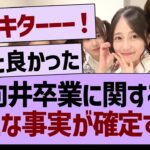 向井卒業に関する、新たな事実が確定する！【乃木坂46・乃木坂工事中・乃木坂配信中】