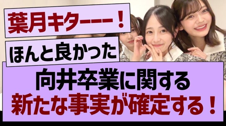 向井卒業に関する、新たな事実が確定する！【乃木坂46・乃木坂工事中・乃木坂配信中】