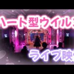 【ライブ映像】ハート型ウイルス/AKB48