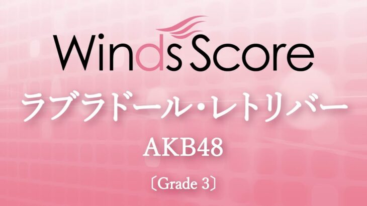 ラブラドール・レトリバー / AKB48