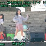 SANOブランドール（栃木県佐野市ご当地アイドル）「チームダイスキ」MOMO・らら・ Runa＿2024.11.23 「足利楽市・楽座in国宝鑁阿寺 」