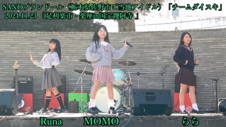 SANOブランドール（栃木県佐野市ご当地アイドル）「チームダイスキ」MOMO・らら・ Runa＿2024.11.23 「足利楽市・楽座in国宝鑁阿寺 」