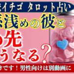 ★忖度なしタロット占い★関係浅めの彼とこの先どうなる？★占い芸人★