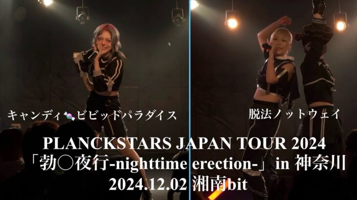 2024.12.02【キャンディ🍬ビビッドパラダイス ＆ 脱法ノットウェイ】PLANCKSTARS 「勃〇夜行-nighttime erection-」in 神奈川：Live House 湘南bit