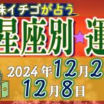 ★忖度なし★2024年12月2日〜12月8日の星座別の運勢★運気を上げるアドバイスつき★