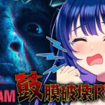 【DON’T SCREAM】どんなゲームでも叫ぶアイドルが、叫んだら即終了ホラゲに挑む。【#ヴイアラ / 上水流宇宙】