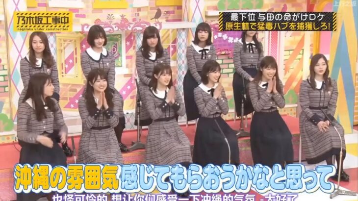 【乃木坂46】「乃木坂工事中 2024」Episode 203~21 Full Show