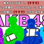 【AKB】アイドル知らなくても答えられるっしょ？キャッチフレーズクイズ！！前編