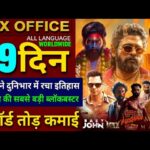 Pushpa 2 Box Office Collection, Allu Arjun, Baby John, Varun Dhawan, Max Movie, Baby John collection