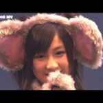 [LIVE] AKB48 – Ame no Doubutsuen (AKB48 NHK Hall Concert 2009) | 雨の動物園