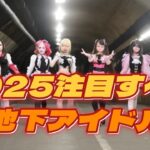 2025年注目するべし地下アイドルランキング