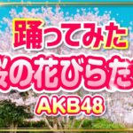 【桜の花びらたち】AKB48 踊ってみた【もも】721