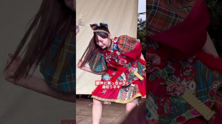 最初に照準合わせてくるとこもポイントです。 立花琴未 推しカメラ CANDY TUNE #きゃんちゅー #立花琴未 #アイドル #idol #推し活 [FanCam/직캠]