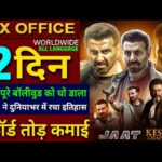 Jaat Box Office Collection, Sunny Deol, Kesari Chapter 2 Collection, Jaat Movie 11th Day collection,