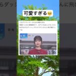名前がもう勝ち組www #shorts #おもしろ #アナウンサー #乃木坂46 #ニュース