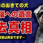 ”マルモのおきて”のムックが死去していた真相…鈴木福に残した最後の遺言に驚きを隠せない！ドラマ終了後に芦田愛菜だけが再会できなかった理由…社会現象にもなった人気番組の子役2人の格差に言葉を失う…！