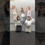 『好き大好き好き好きチュン』#fyp #おすすめ #アイドル #地下アイドル #好きチュン
