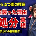 パンくんが●処分された真相…女性に大怪我を負わせた理由に言葉を失う…！志村どうぶつ園の演出のために捏造された映像の全貌…チンパンジーには本来できない芸を仕込まれて抱えていたストレスの裏側に一同驚愕！