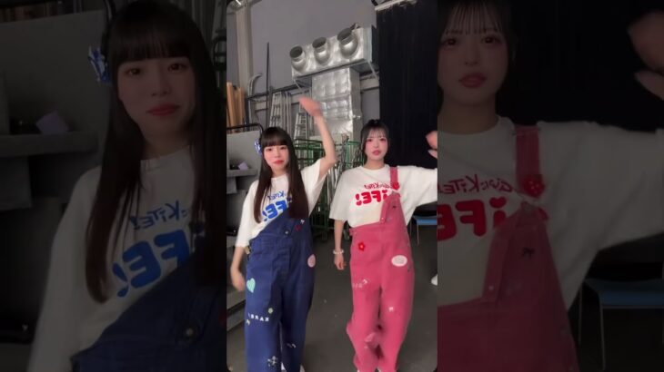 みさえです。