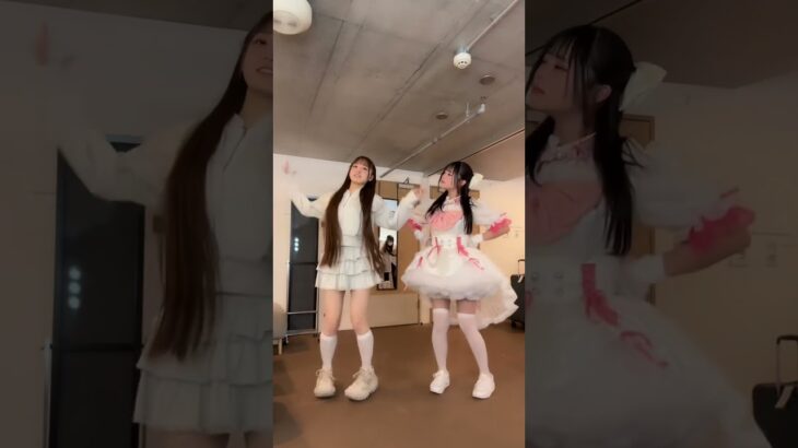 ほんとにｗｗｗｗｗｗ