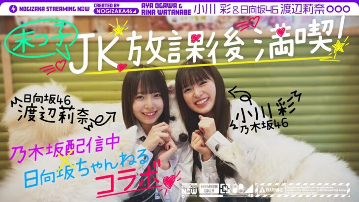 【もっと仲良くなりたい】小川彩が日向坂46渡辺莉奈と原宿デート♪【日向坂ちゃんねるコラボ前編】