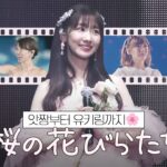 [자막] AKB48 – 벚꽃잎들 (桜の花びらたち) 졸업 ver.