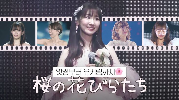 [자막] AKB48 – 벚꽃잎들 (桜の花びらたち) 졸업 ver.