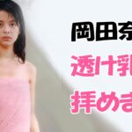 【岡田奈々】懐かしのアイドルが素晴らしすぎる！Okada Nana