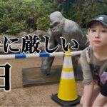《地下アイドル》自分に厳しい1日