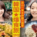 【韓国グルメ爆食い】乃木坂４６一期生 #高山一実 #伊藤万理華 弾丸1泊2日旅【超プライベート完全自撮り旅】