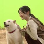 乃木坂46・川﨑桜、ソフトバンクCMに初出演！”最新ニュース”も明かす「3日前から料理を…」ソフトバンク新TVCM「未確認物体との遭遇」篇「未確認物体との共存」篇