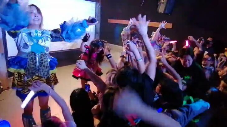 2025.08.11 プランクスターズ『プランクスターズ旧メンバーワンマン「BACK TO CRASH」』@peacecafe