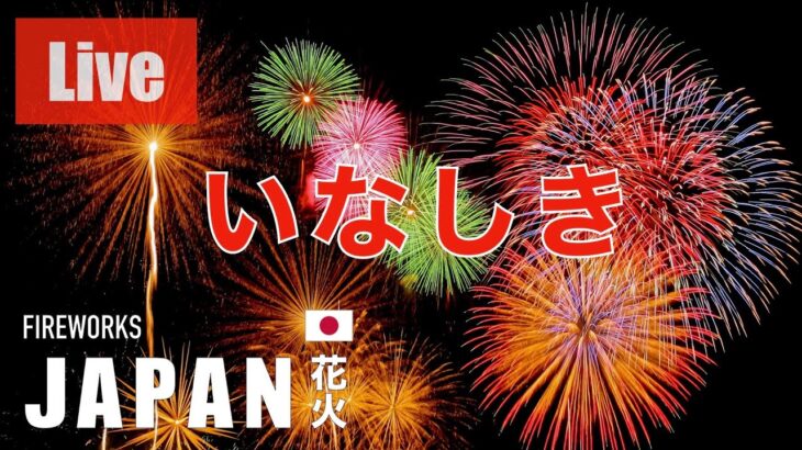 🔴LIVE いなしき花火大会一万発🎇 #fireworks #花火