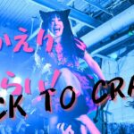 【プランクスターズ】旧メンバーで1日復活！プランクスターズ旧メンバーワンマンライブ「BACK TO CRASH」 【愛成来来】 #愛成来来 #プランクスターズ #学園プリンス #緋鬼籠帝國