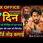 Baaghi 4 Box Office Collection, Tiger Shroff, Sanjay Dutt, Baaghi 4 6th Day collection Worldwide,