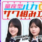 【アーカイブ公開】賀喜＆筒井 HG量産型ルカ専用ザク組み立て生配信【世界最速レビュー？！】【ギブバース！】