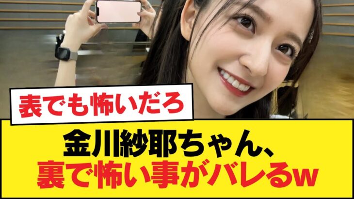 金川紗耶ちゃん、裏で怖い事がバレるw【乃木坂46】