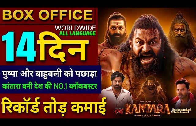 Kantara Chapter 1 Box Office Collection, Rishab Shetty, Kantara 2 Collection All Language Worldwide,