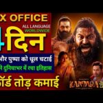 Kantara Chapter 1 Box Office Collection, Rishab Shetty, Kantara 2 Collection All Language Worldwide,