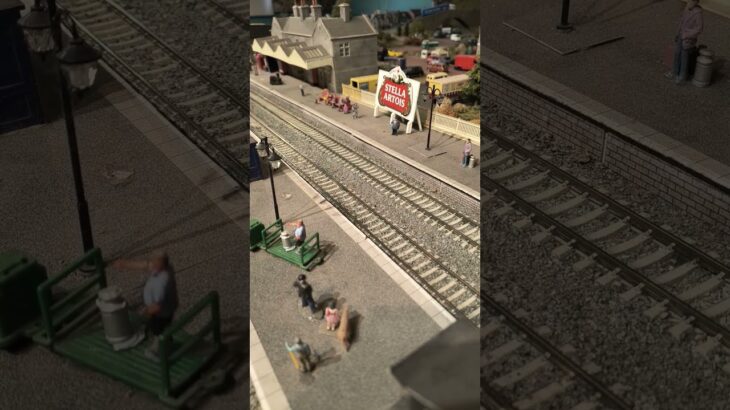 mayflower on the cotton mill express