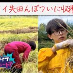 【アイドル×農業】ついに収穫！アイ失田んぼ#農業ライフハードモード