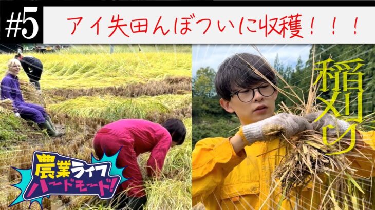【アイドル×農業】ついに収穫！アイ失田んぼ#農業ライフハードモード