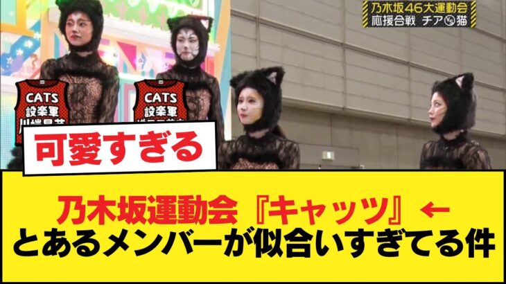 乃木坂運動会『キャッツ』←とあるメンバーが似合いすぎてる件【乃木坂46】
