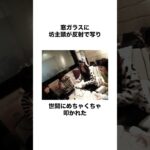 【AKB時代】てつやの奥さん峯岸みなみに関するおもしろエピソード#shorts #東海オンエア