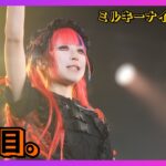 【地下アイドル】賽の目。 ミルキーナイトフェス 20251211【名古屋アイドル】