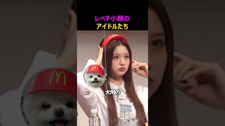 レベチ小顔のアイドルたち