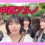 乃木坂46　ぞうの国　アルノまとめ①　5期生　