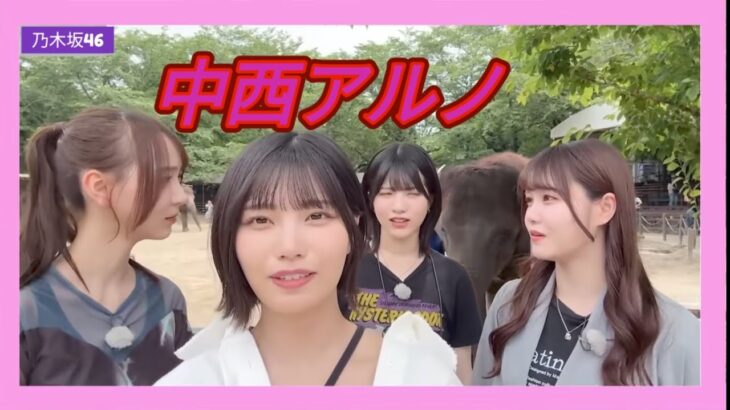 乃木坂46　ぞうの国　アルノまとめ①　5期生　
